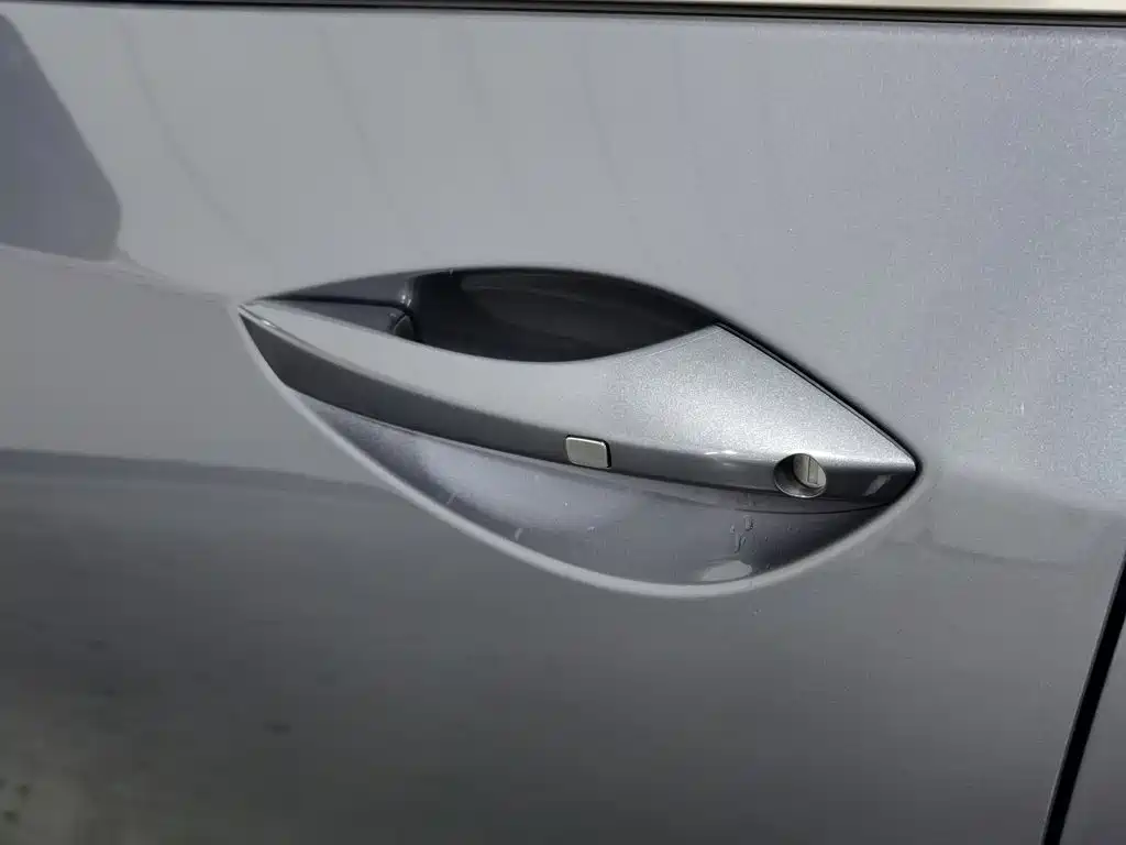 Haima 7X 2024 2023 1.6TGDI Auto Luxury