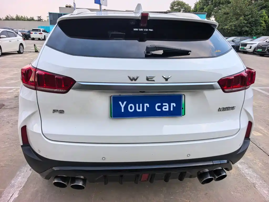 2018 WEY P8