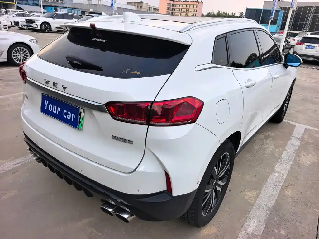 WEY P8 2018 2018 2.0T Flagship Model