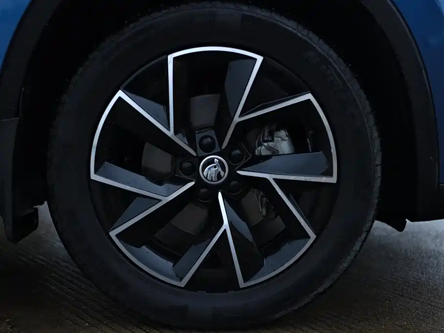 Škoda Kamiq 2021 GT TSI230 DSG Flagship Edition фото 10