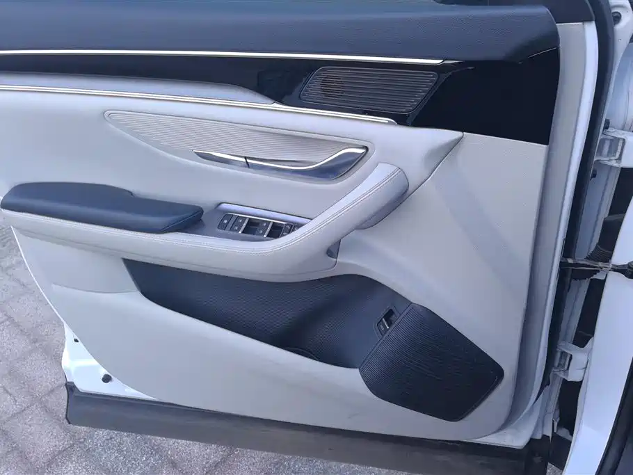 BYD SONGJIANG NEW ENERGY