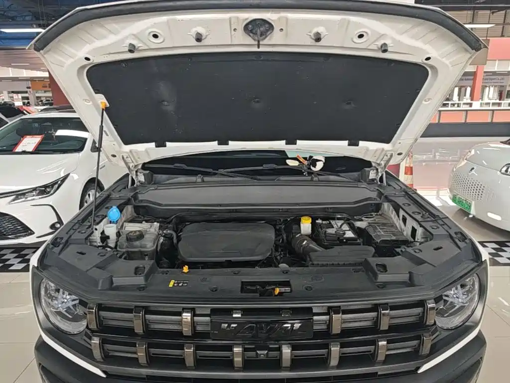 Haval Cool Dog 2023 2022 1.5T DCT 2WD Trend Edition