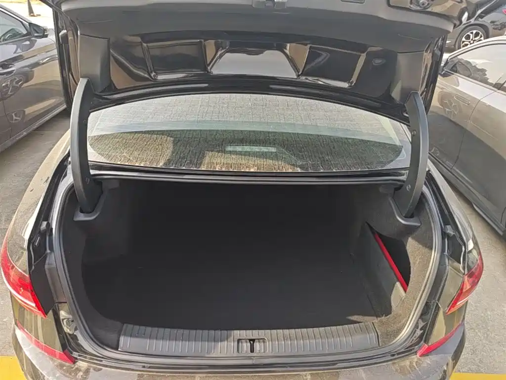 Volkswagen Passat 2023 330TSI Starlight Luxury Edition фото 19