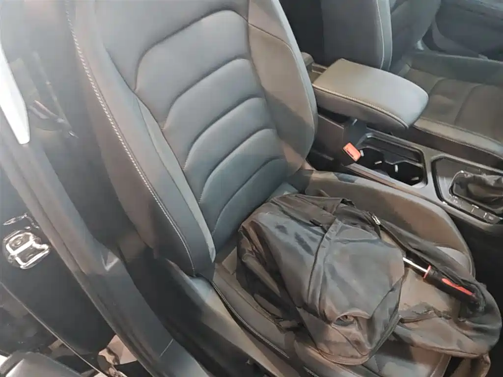 Volkswagen Tiguan L 2019 330TSI Auto 2WD Smart Luxury Edition China V фото 25