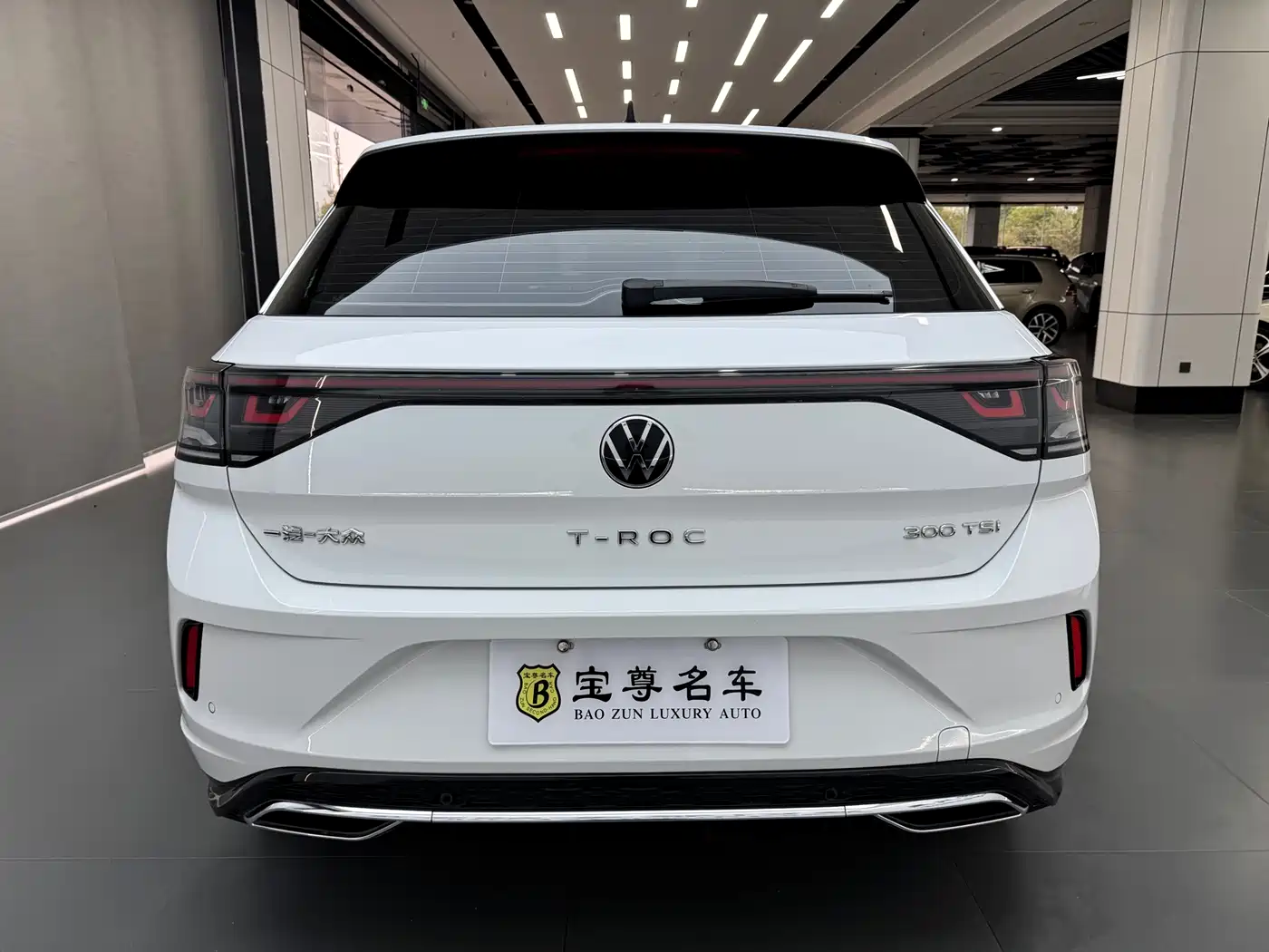 Volkswagen T-ROC 2023 300TSI DSG 2WD Starlight Edition фото 5