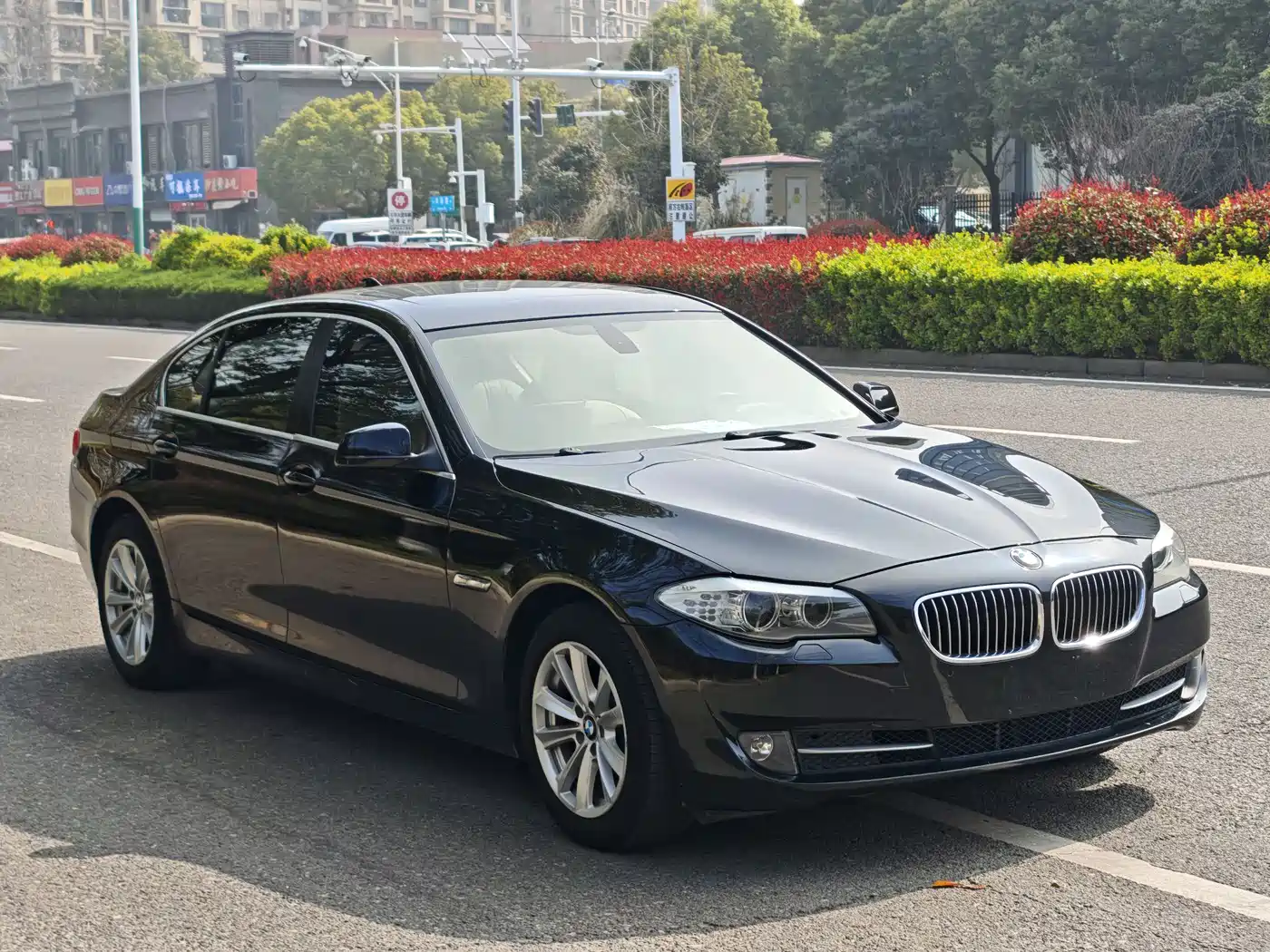 BMW 5 Series 2012 523Li Luxury фото 6