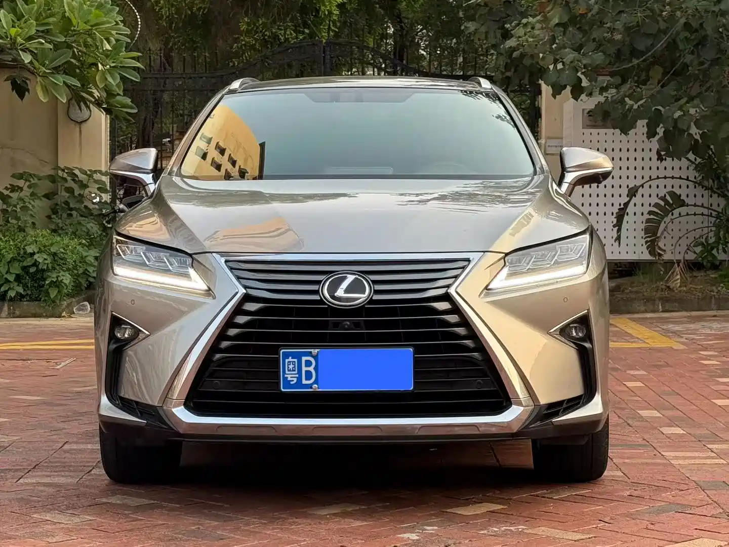 Фото 2 - Lexus RX