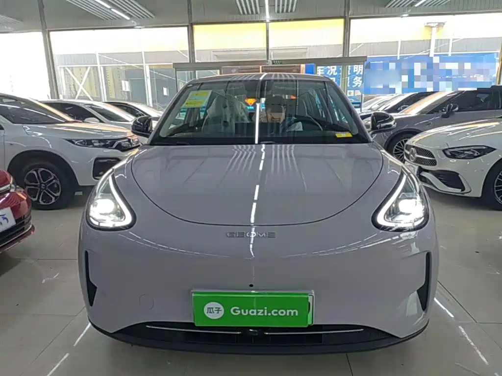 Geely Galaxy Starry Wish 2026 Edition 410km Freedom Version фото 3