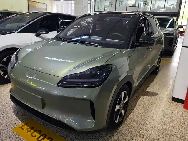 Wuling Motors Wuling Binguo PLUS 2024
