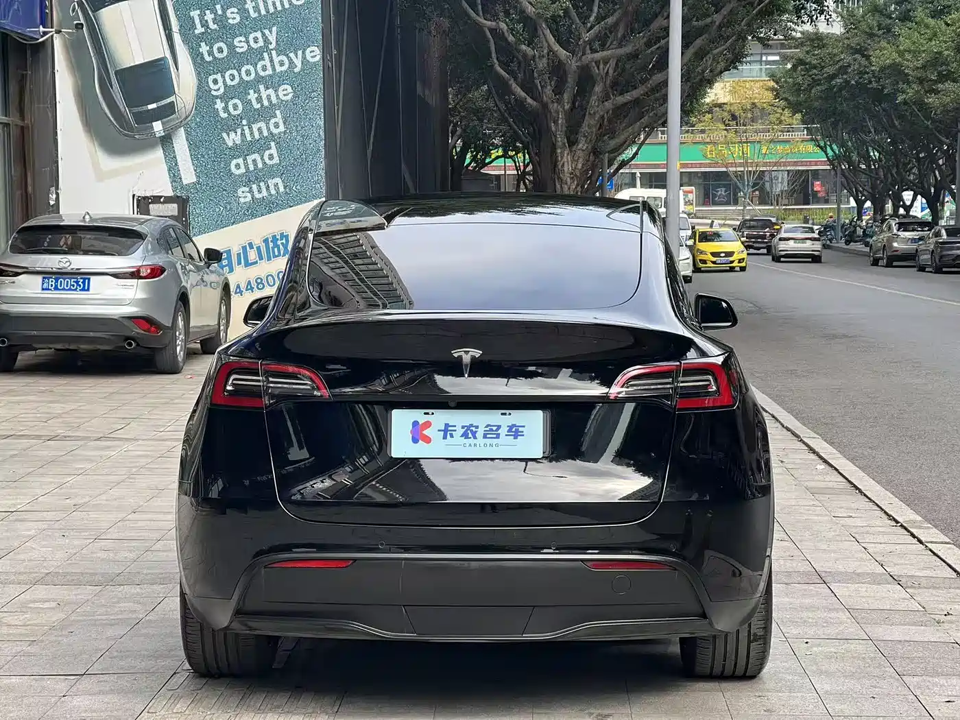 TESLA MODEL Y