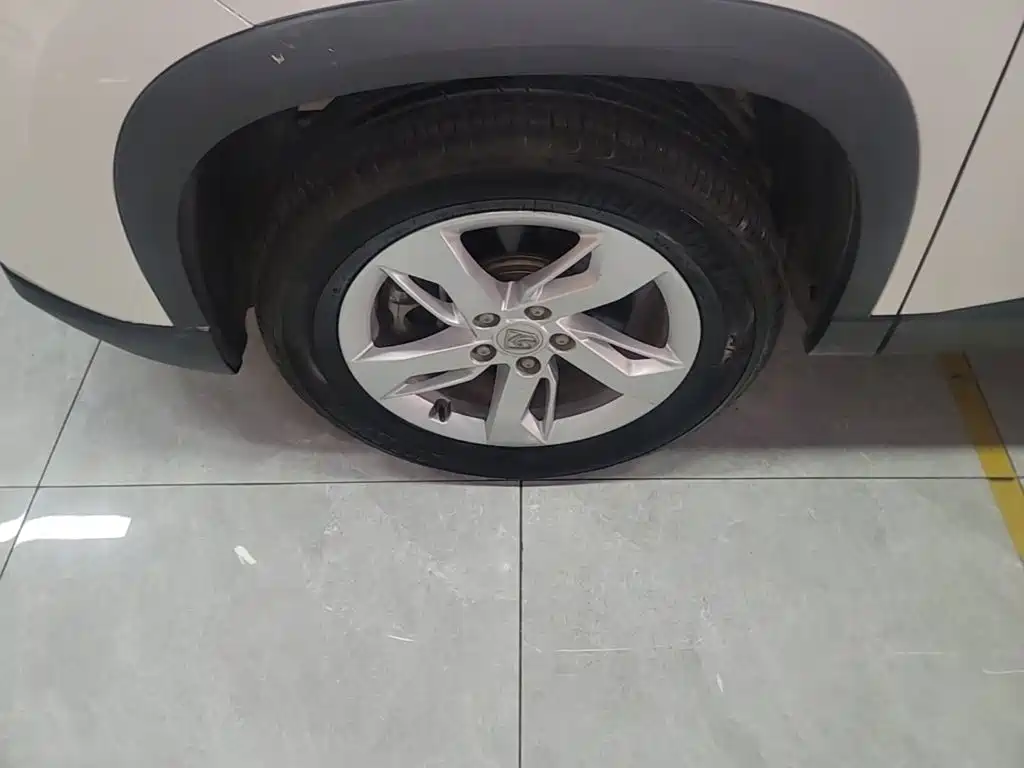 صورة 23 - Baojun 530
