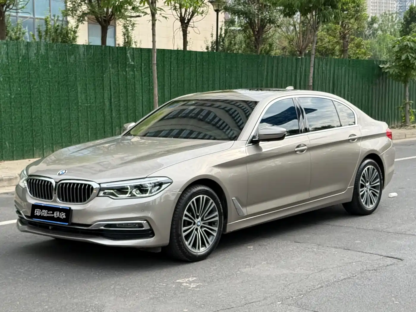 BMW 5 Series 2019 530Li Premium Luxury Package