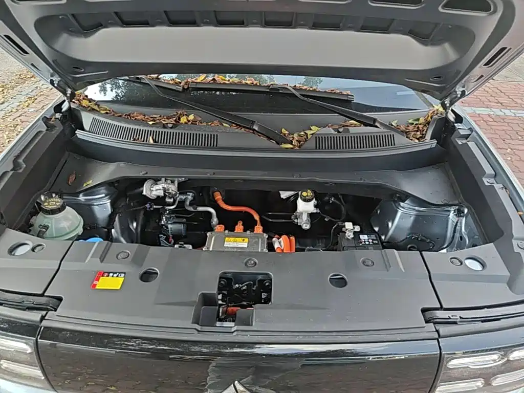 Baojun Yueye Plus 2026 2026 301km Flagship
