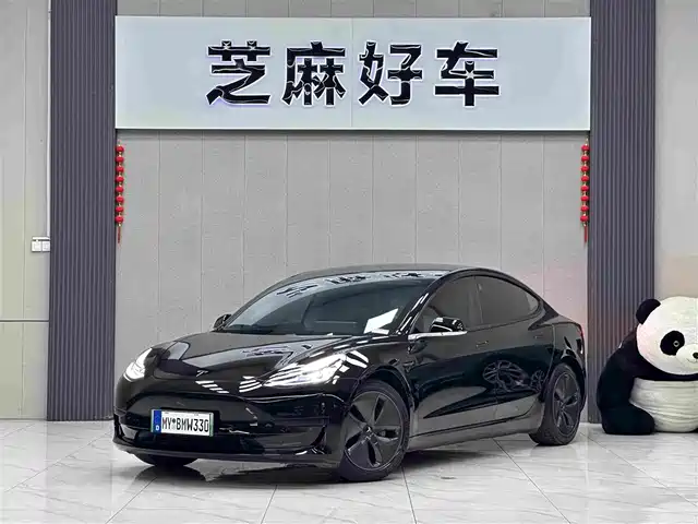 Tesla Model 3 2020