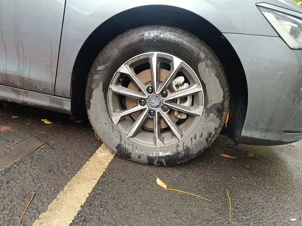 BYD Qin PLUS 2023 Champion Edition DM-i 55KM Leading фото 8