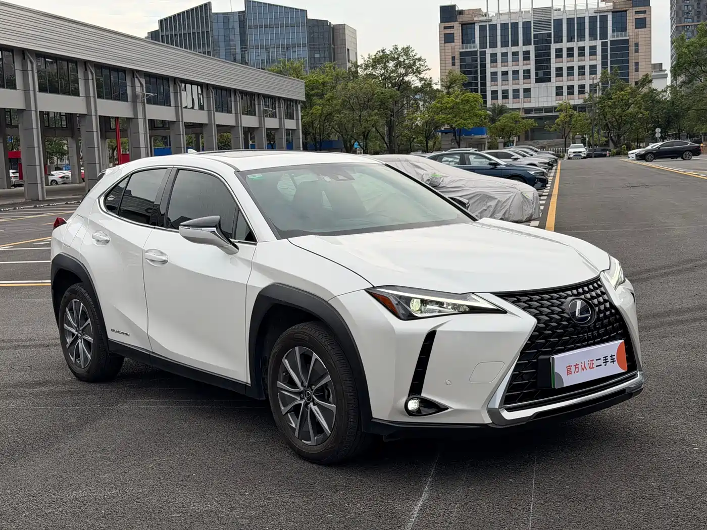 Lexus UX Electric 2020 300e Pure Yue Edition фото 3