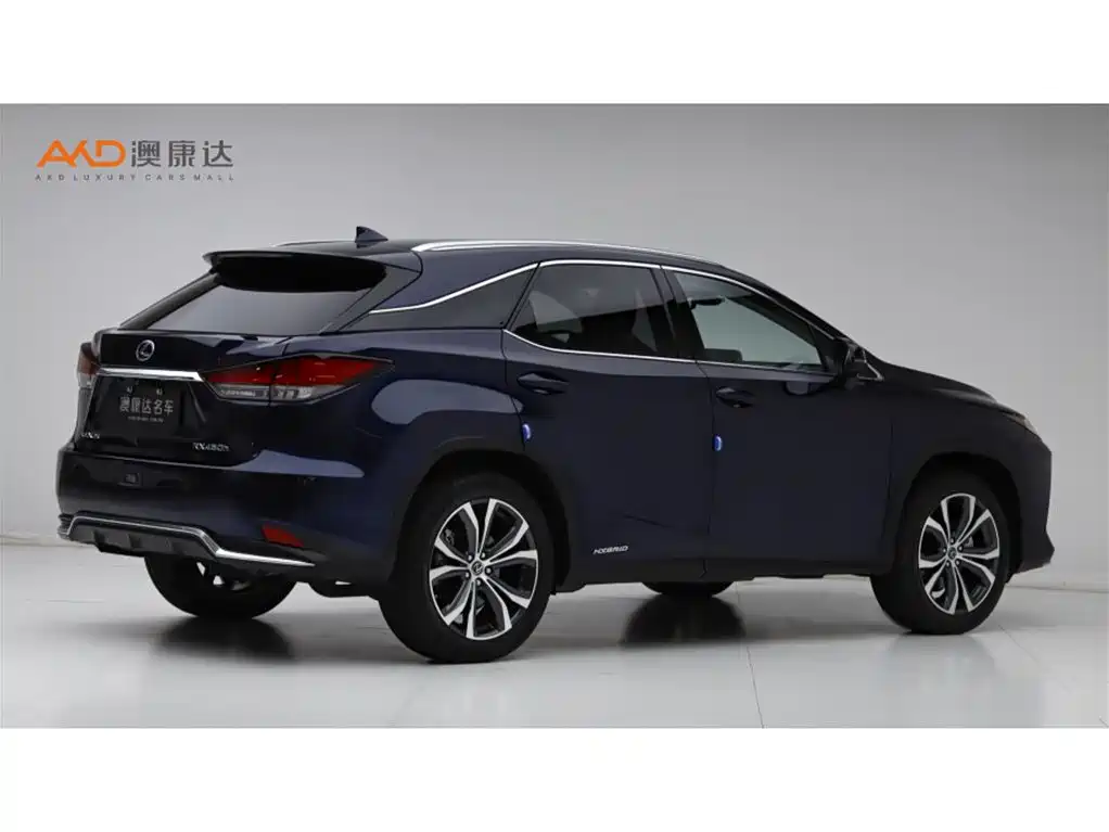 Lexus RX 2020 450h 4WD Elegance Edition China VI фото 3