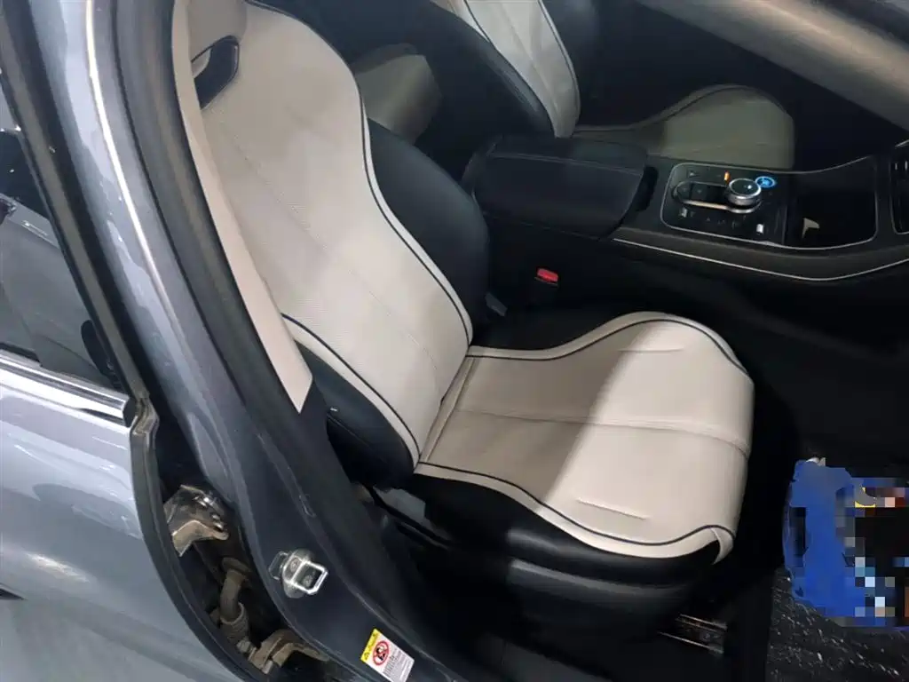 BYD Destroyer 05 2024 Glory Edition DM-i 55KM Luxury фото 25