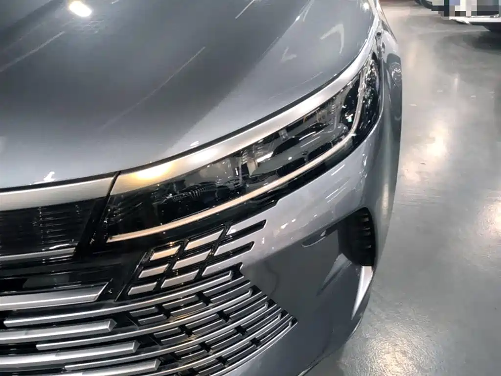 BYD Destroyer 05 2024 Glory Edition DM-i 55KM Luxury фото 24