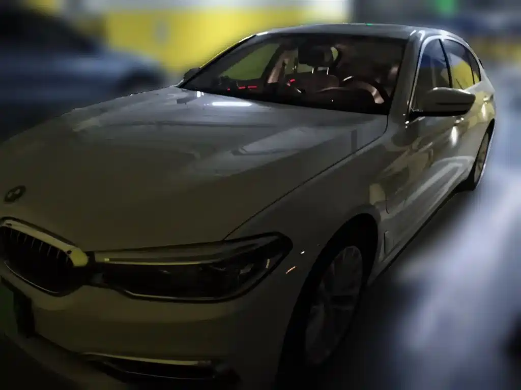 BMW 5 Series New Energy 2020 530Le Range Upgrade Luxury Package фото 2