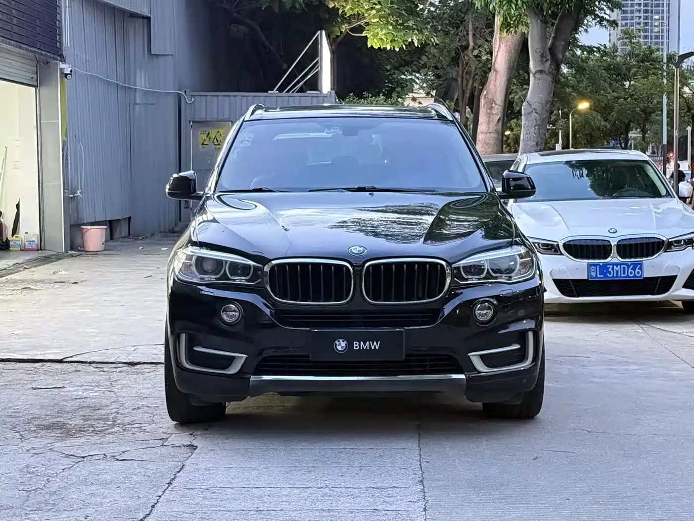 BMW X5 (Import) 2014 xDrive35i Elegance фото 2