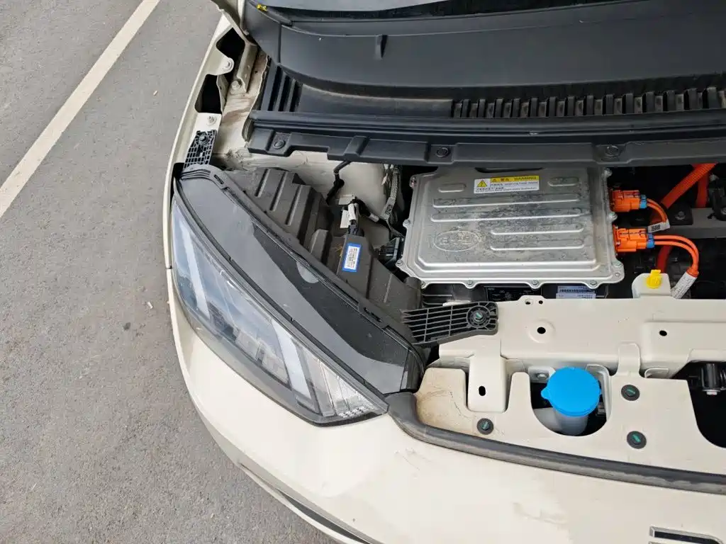 BYD Seagull 2026 2025 Smart Drive Edition 305km Vitality Version