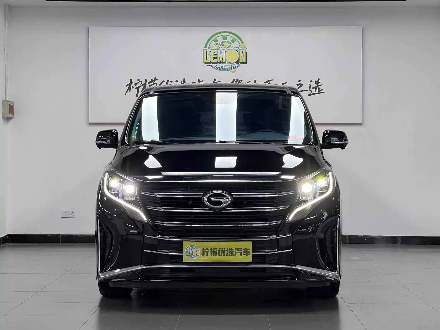 GAC Trumpchi Trumpchi M8 2023 Leading Series 390T Prestige Edition фото 2