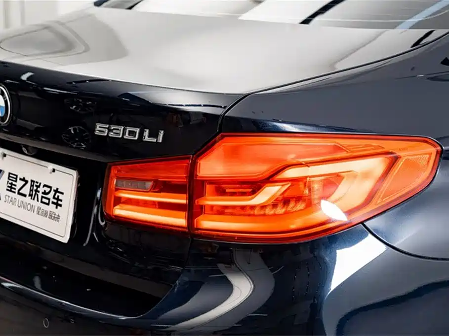 BMW 5 Series 2019 530Li Leading M Sport Package фото 9