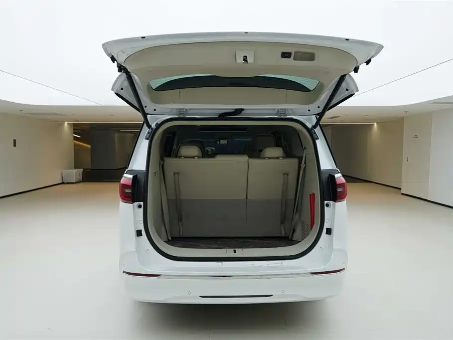 Buick GL8 2023 ES Landmaster Comfort фото 6