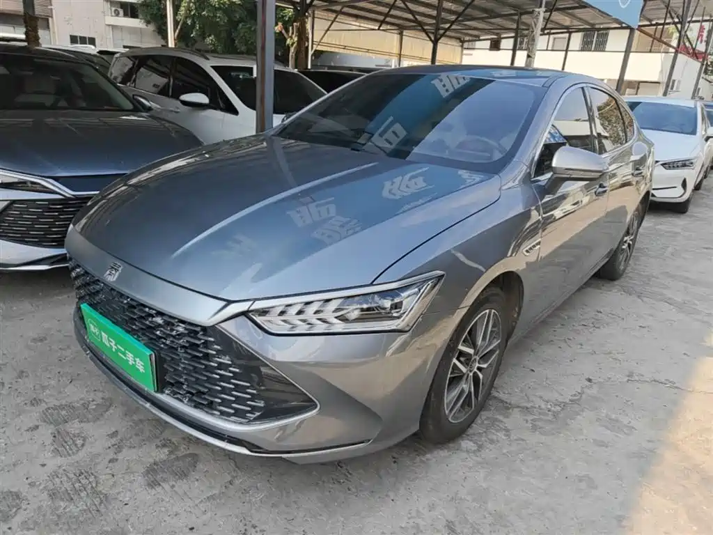 BYD Qin PLUS 2023 Champion Edition DM-i 120KM Excellence фото 2