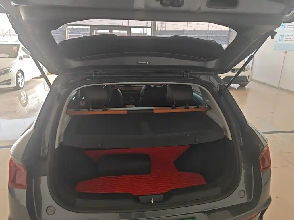 BYD e2 2021 2021 Luxury Edition