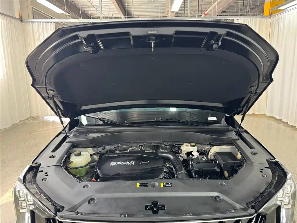 GAC Trumpchi Trumpchi GS8 2025 Pilot Series 2.0TGDI 2WD Luxury Edition 5-seater фото 17