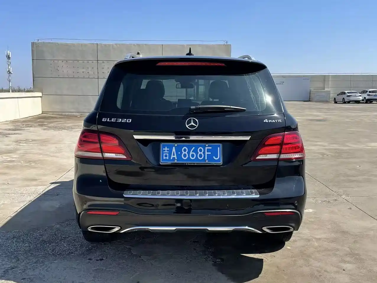 Mercedes-Benz GLE 2017 GLE 320 4MATIC Dynamic фото 8