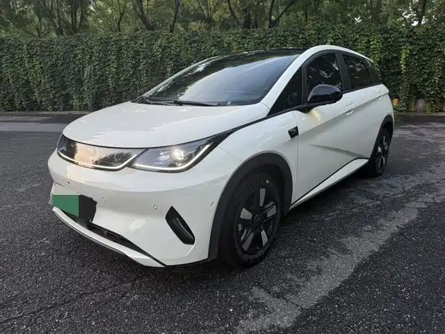 BYD Dolphin 2025