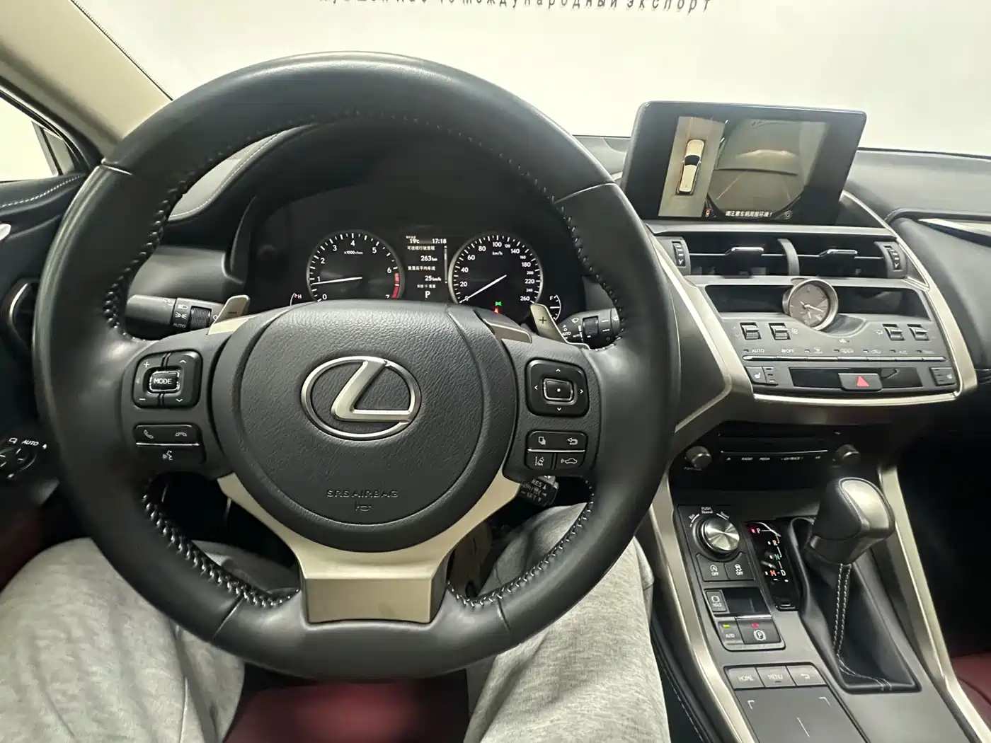 LEXUS NX