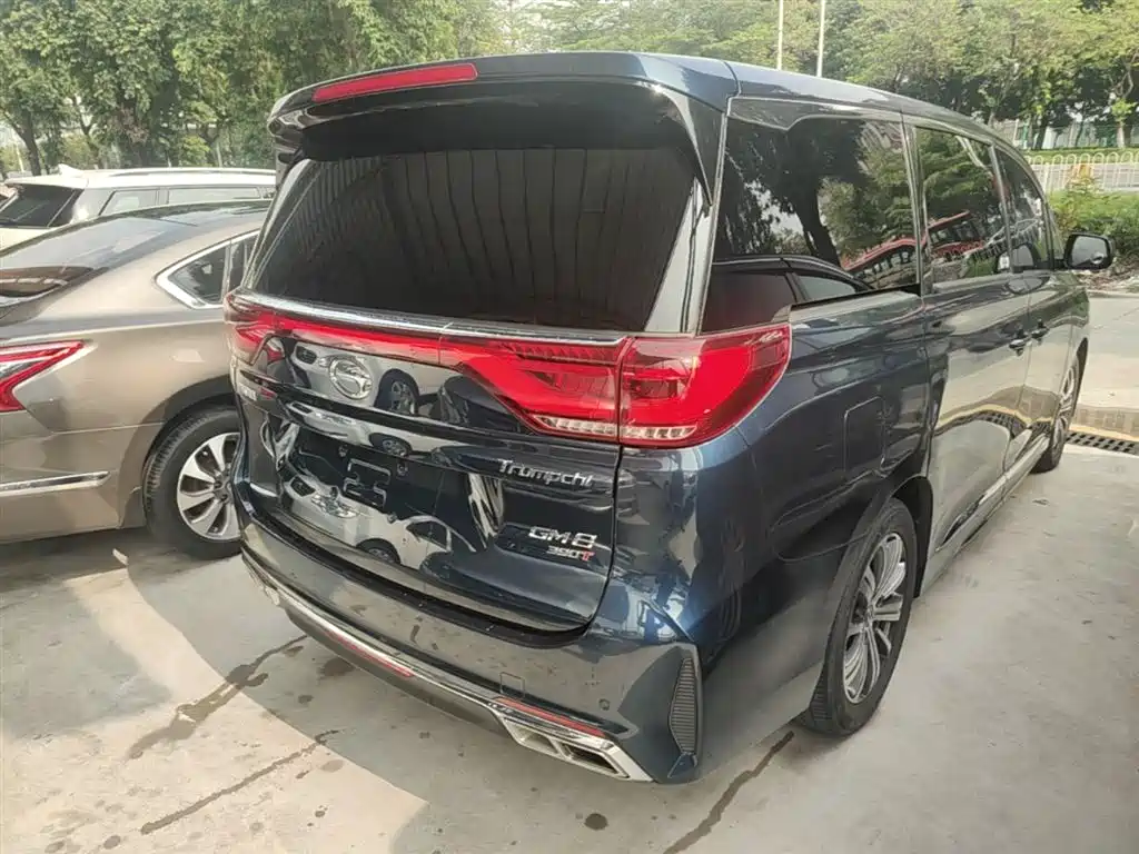 GAC Trumpchi Trumpchi M8 2020 Pilot 390T Prestige Edition фото 7