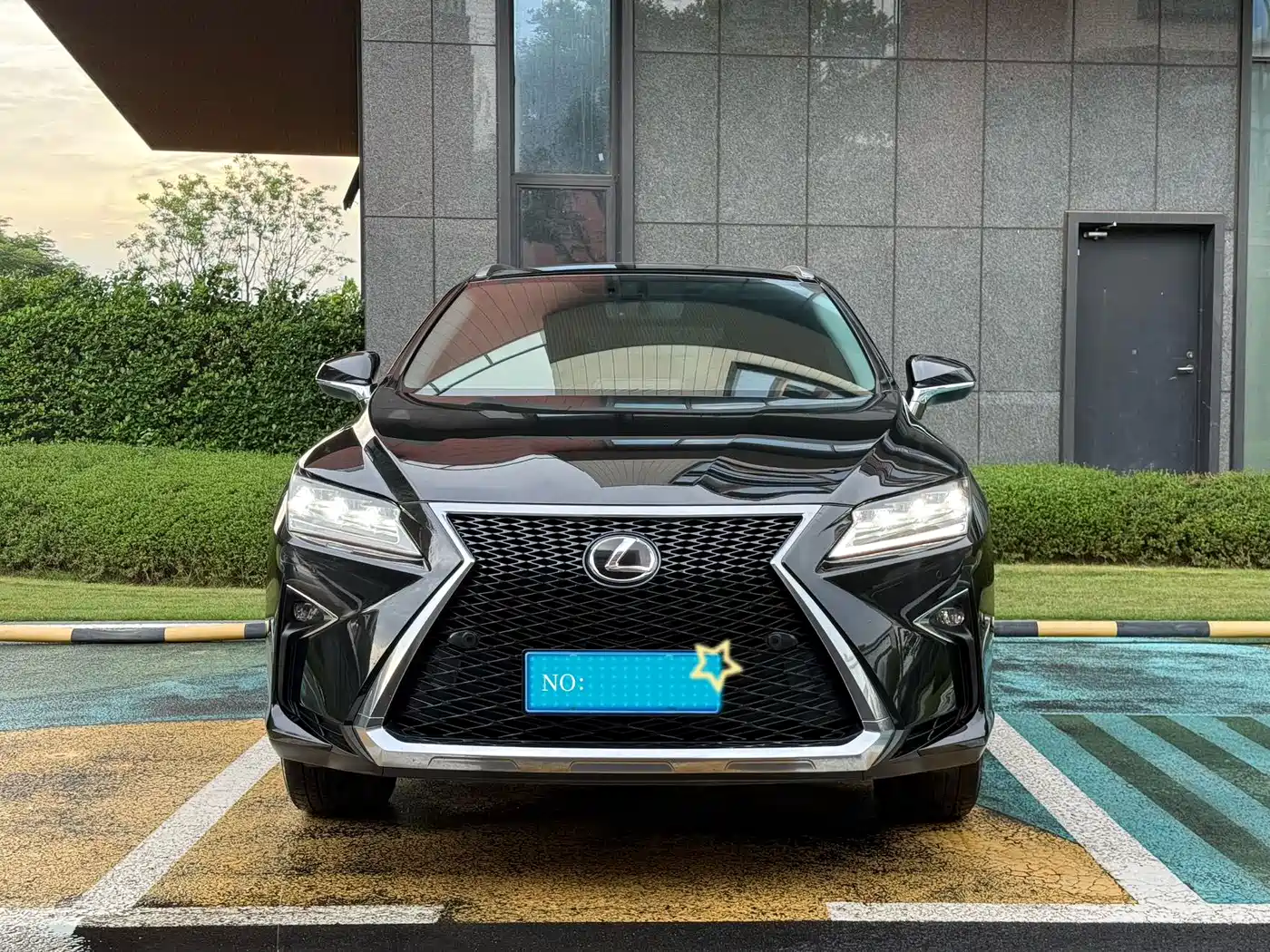 Lexus RX 2016 2016 300 4WD Elegance Edition (China V)