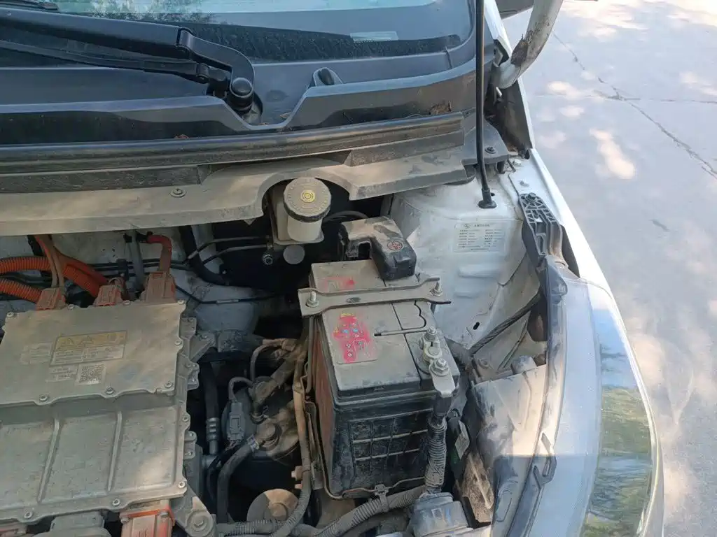 JMCG New Energy Little Kirin 2024 2023 Model Lucky Edition 201km Luxury