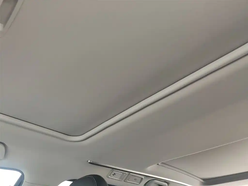 GAC Trumpchi Trumpchi M8 2020 Pilot 390T Prestige Edition фото 18