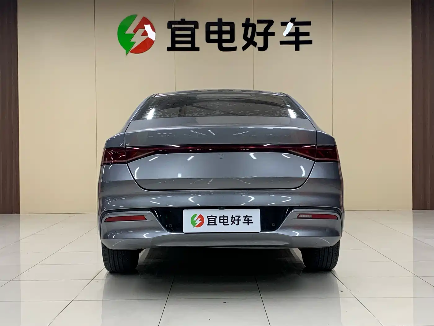 BYD Qin PLUS 2021 EV 500KM Premium Model фото 6