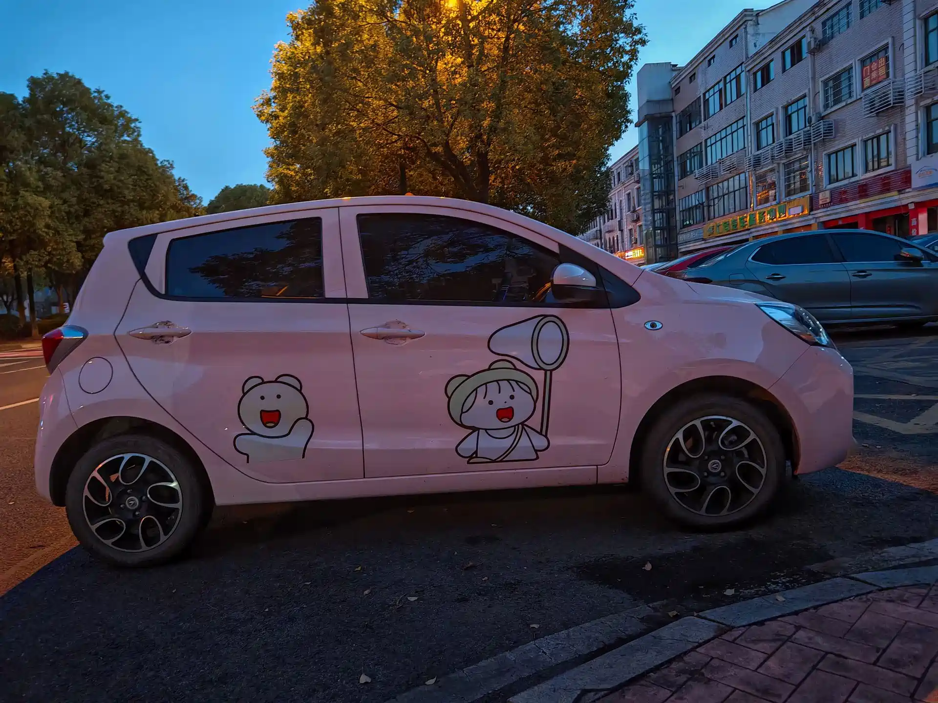 Photo 8 - Changan Benben E-Star