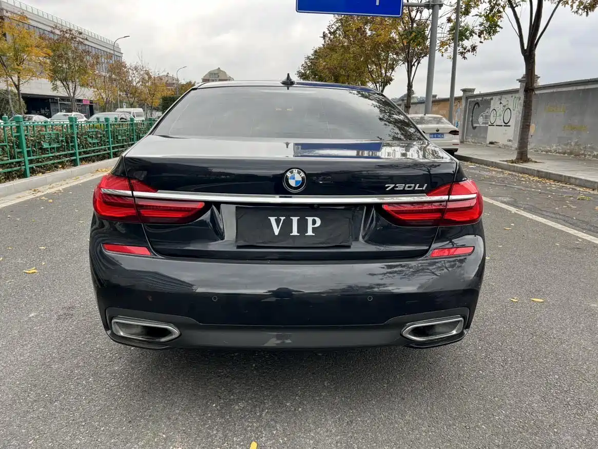 BMW 7 Series 2018 730Li Leading Type M Sport Package фото 15