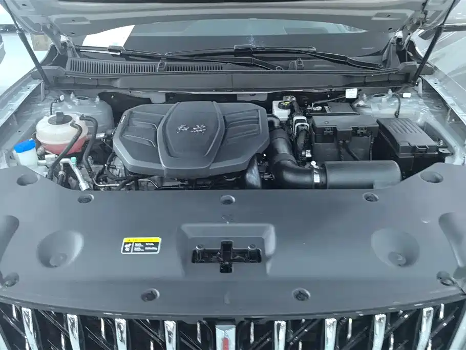 Hongqi HS5 2023 2.0T 4WD Flag Leader Pro фото 10
