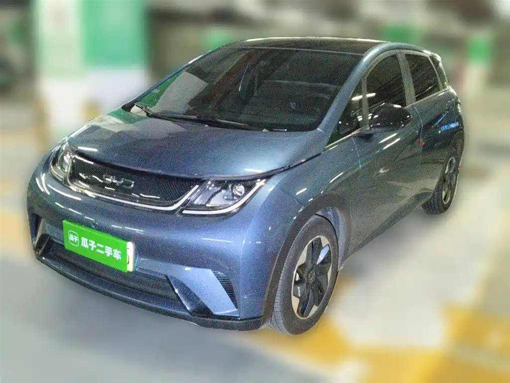 BYD Dolphin 2025 420km Fashion Edition фото 2