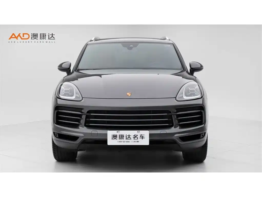 Porsche Cayenne 2022 Cayenne 3.0T Platinum Edition фото 2