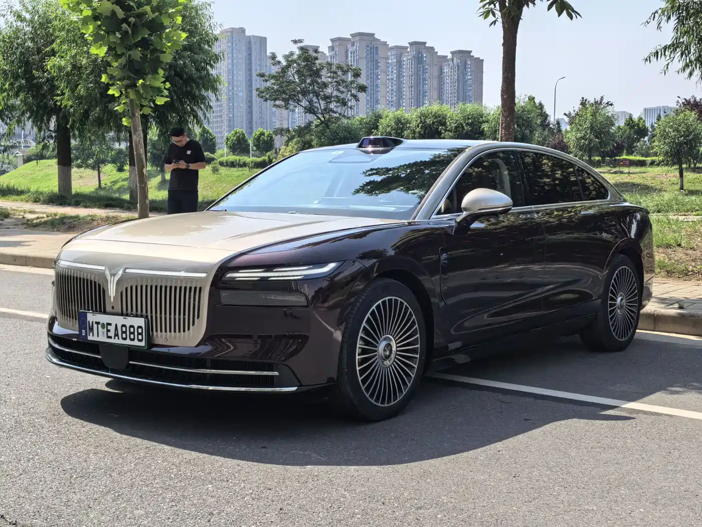 Voyah Auto VOYAH Zhuiguang L 2025 Mid-configuration Model