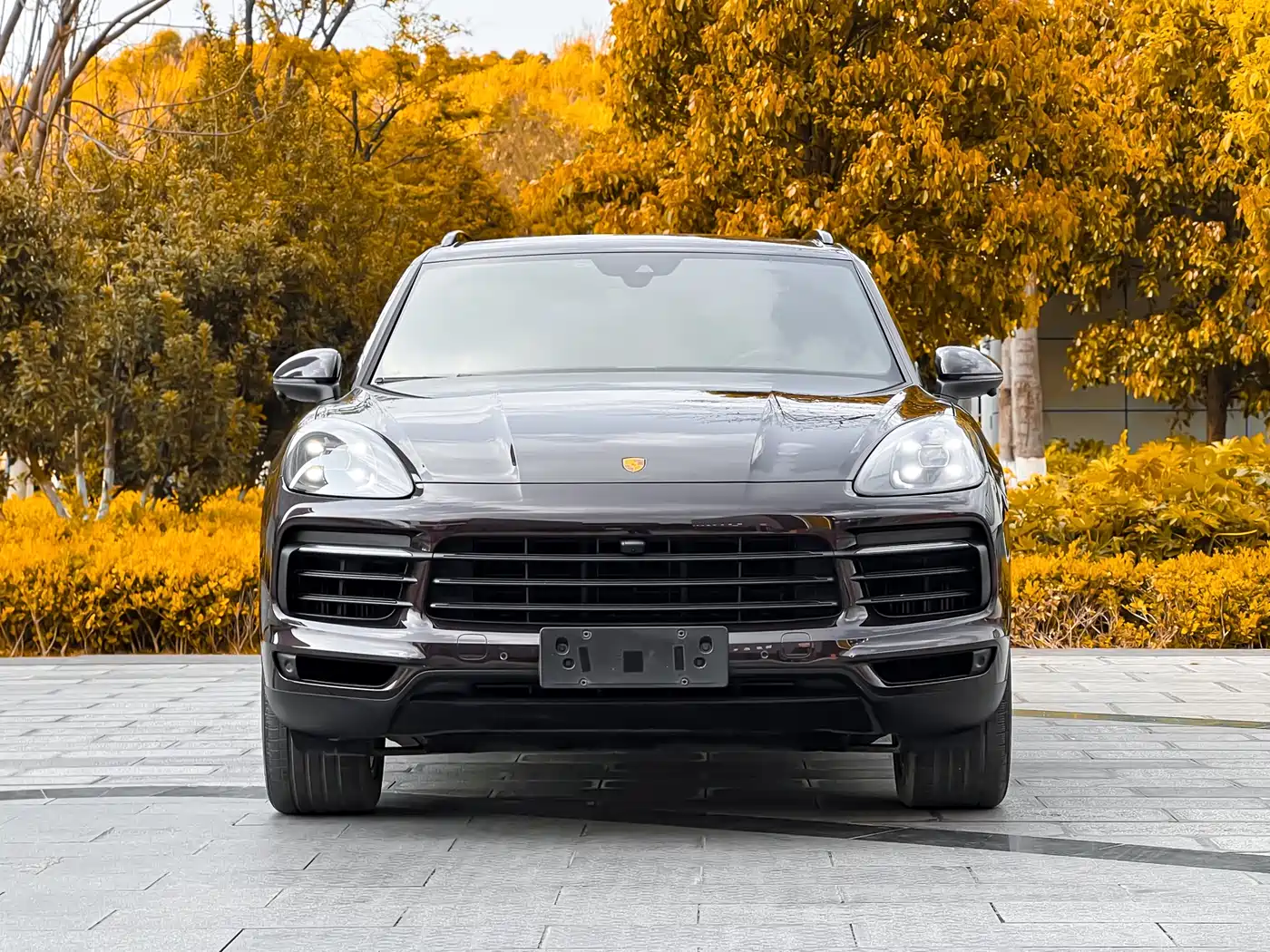 Porsche Cayenne 2019 Cayenne 3.0T фото 2