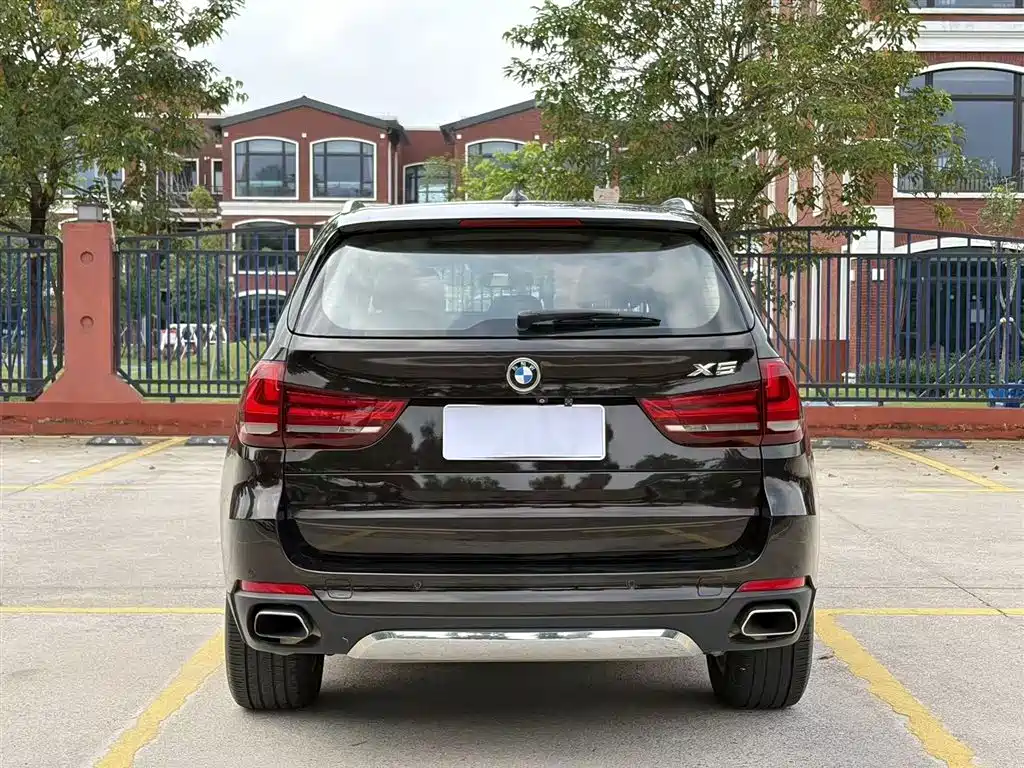 BMW X5 (Import) 2014 xDrive35i Leading фото 8
