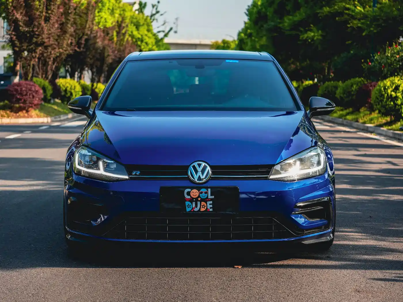 Volkswagen Golf (Import) 2017 2.0TSI R фото 8