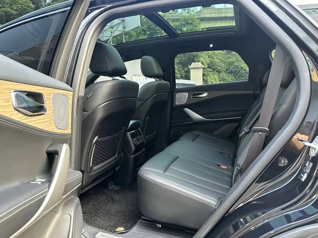 Denza X 2021 2020 PHEV Classic Edition